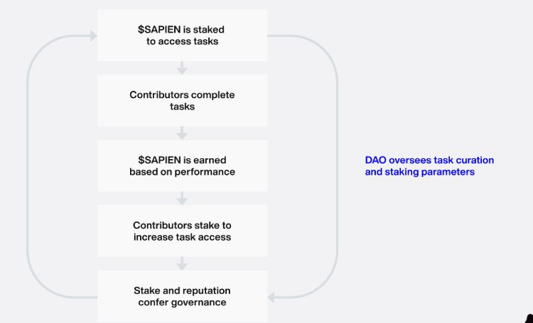 币安将上线的Sapien(SAPIEN币)是什么?值得投资吗?SAPIEN代币经济与未来前景分析