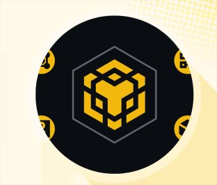 什么是币安智能链?有多受欢迎?BSC的采用与成长分析