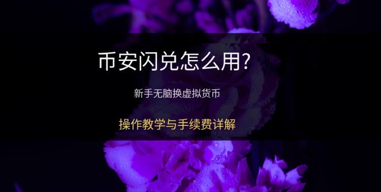 币安闪兑界面概览