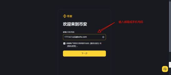 输入电子邮箱