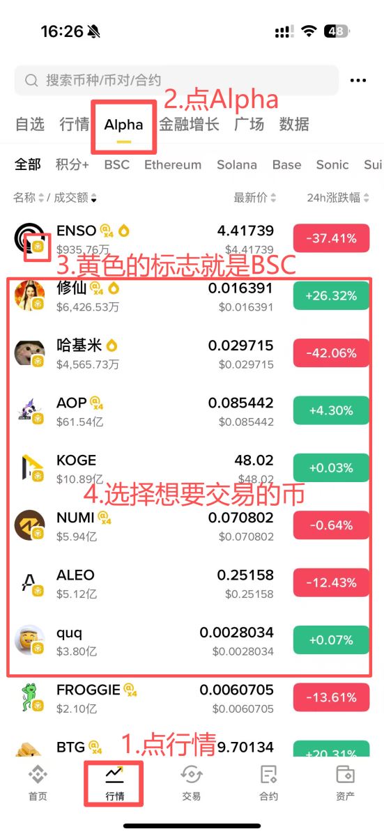 币安Alpha币种查询路径