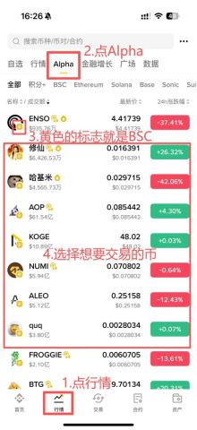 币安Alpha币种查询路径