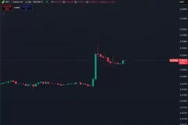 上线Coinbase,爆拉50%的REZ能延续涨势吗?
