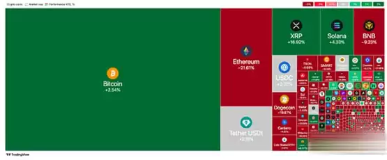 Bitwise强调散户深陷绝望 未来怎么走
