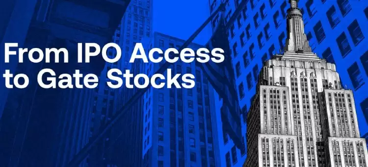 SpaceX IPO Access介绍