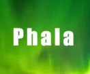 Phala 为何突然受到市场追捧