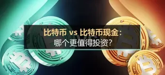 比特币与比特币现金区别解析：BTC 和 BCH 如何看