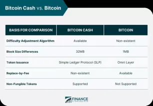 比特币 vs 比特币现金：哪个更值得投资？