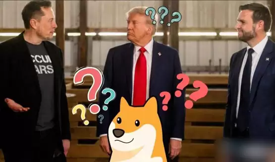 摩根大通:川普和马斯克的效率部门doge恐沦空谈