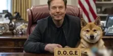 马斯克政府效率部doge征才!但无薪、每周工作80小时引热议