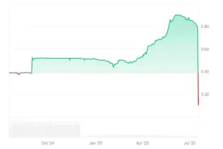什么是PayNet Coin(PAYN币)?PAYN币市场、代币经济学及未来价格预测