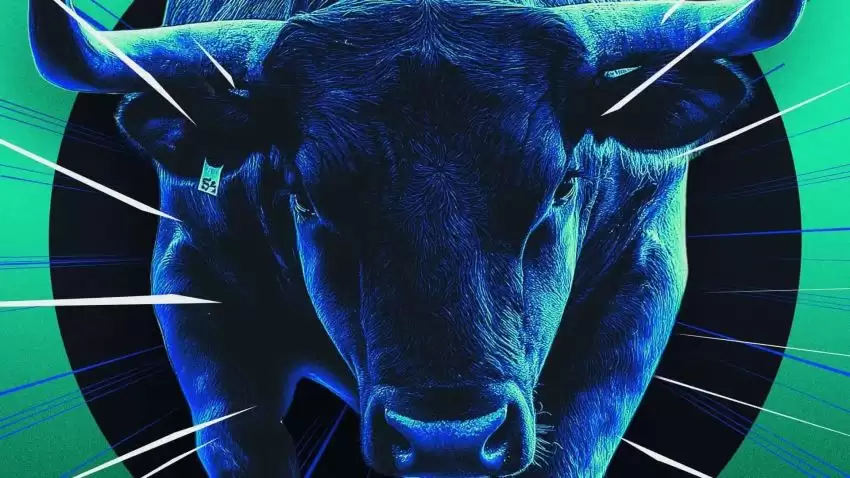 下一轮牛市的主战场在哪?答案就藏在这两类资产里