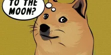 doge价格达3年新高!带领狗狗概念币集体飞涨