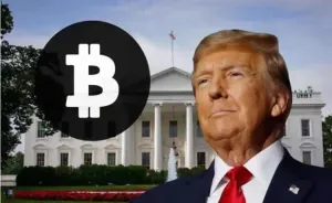 白宫加密货币峰会是什么,谁会参加?加密货币峰会时间,内容及影响