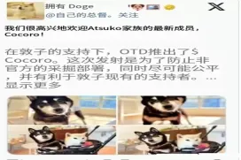 $COCORO柴犬币市值破亿后暴跌60%,Doge主人也无力回天,市场直呼迷因币市场