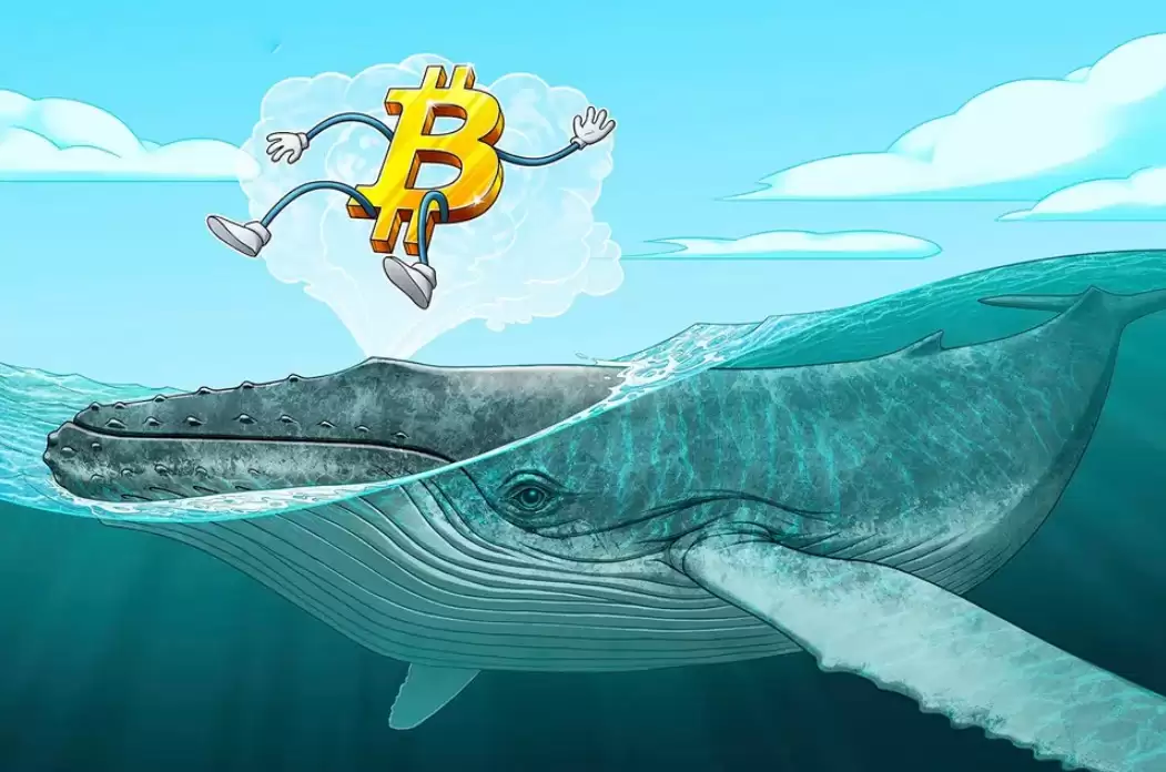 thorn研报:比特币(btc)早期卖势放缓却仍低迷,走势沉寂跌至四年低点引市场关注