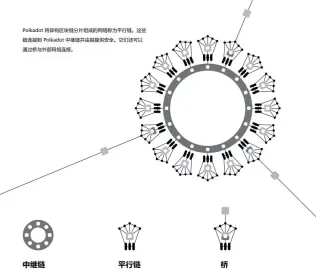 Polkadot(DOT)币是什么？值得投资吗？DOT未来发展分析