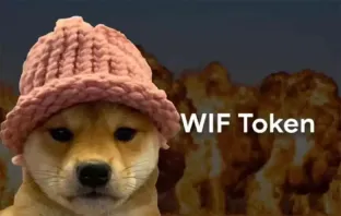 Dogwifhat (WIF)币