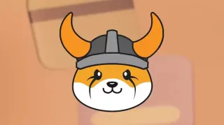 FLOKI币