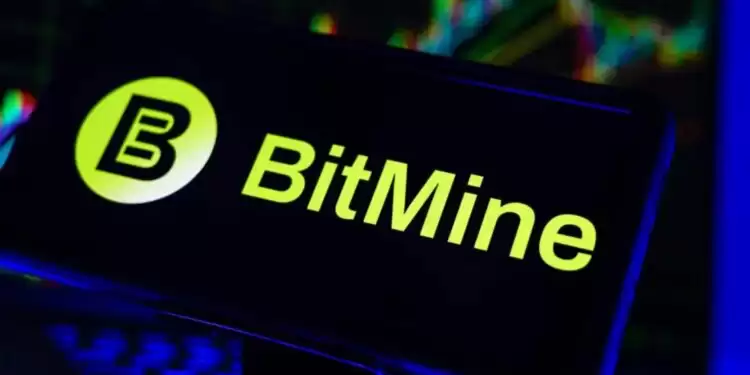 Bitmine(BMNR):从对冲基金到资管巨头买入