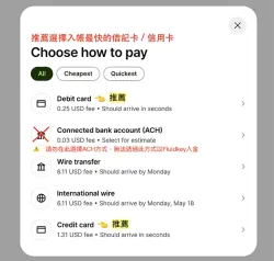 Wise 付款方式选项