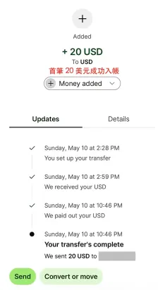 Wise 账户使用方式三