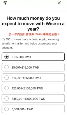Wise 账户使用方式二