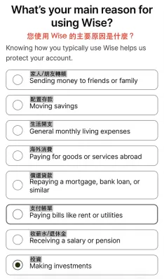 Wise 账户使用方式一