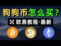 如何在欧易购买狗狗币：现货与合约操作详解