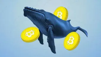 比特币巨鲸60天增持4.3万枚BTC，多层级持币者同步吸筹