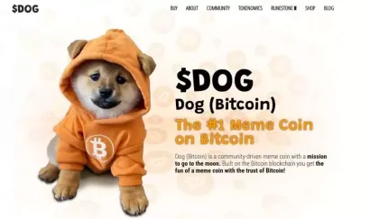 2026年DOGE还值得投资吗？Bitcoin Runes与反弹潜力分析