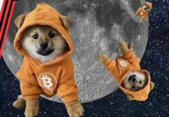 2026年DOGE还值得投资吗？Bitcoin Runes与反弹潜力分析