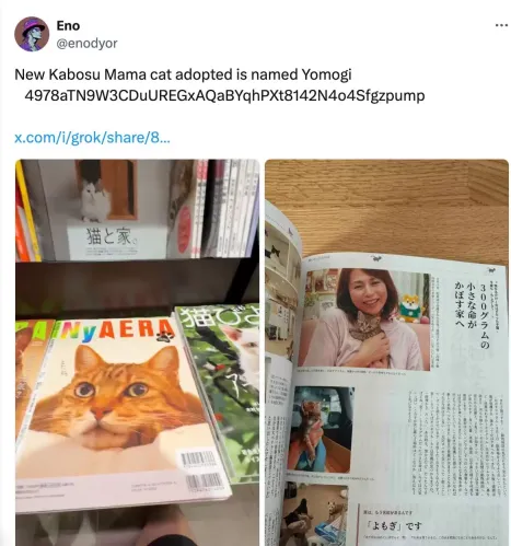 Solana 生态 Meme 币代表：“猫有九条命”的 CATE
