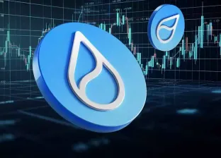 Sui(SUI):尚处增长早期的技术新贵