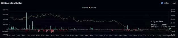 比特币现金衍生品:空头被套牢,交易量激增