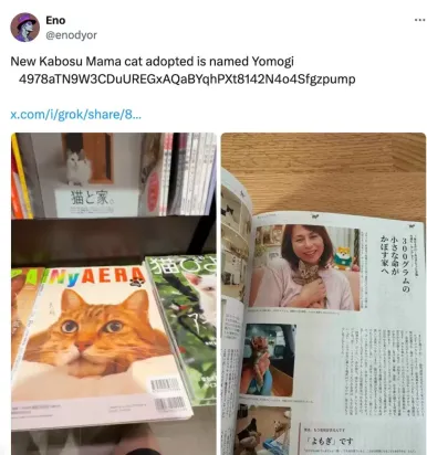 热门Meme币行情