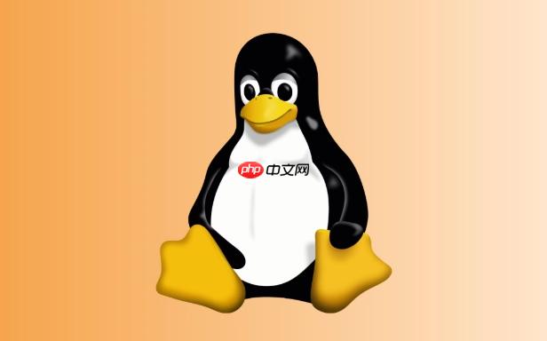 Linux如何更改文件所有者？chown与chgrp命令对比