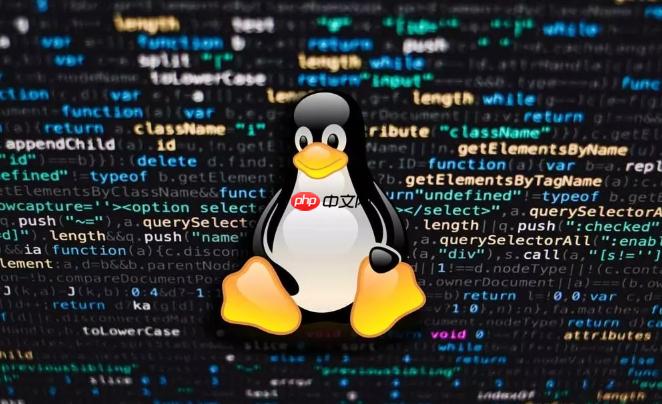 Linux中如何查找进程占用的端口？netstat与ss命令使用技巧