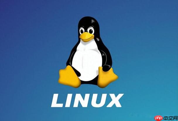 Linux中如何查找进程占用的端口？netstat与ss命令使用技巧