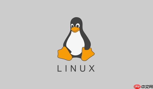 Linux如何查看当前工作目录 pwd命令使用详解