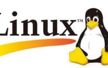 怎样在Linux中压缩和解压文件？tar、gzip和zip命令使用指南