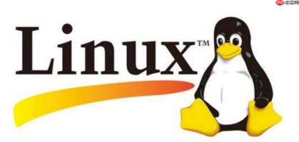 怎样在Linux中压缩和解压文件？tar、gzip和zip命令使用指南