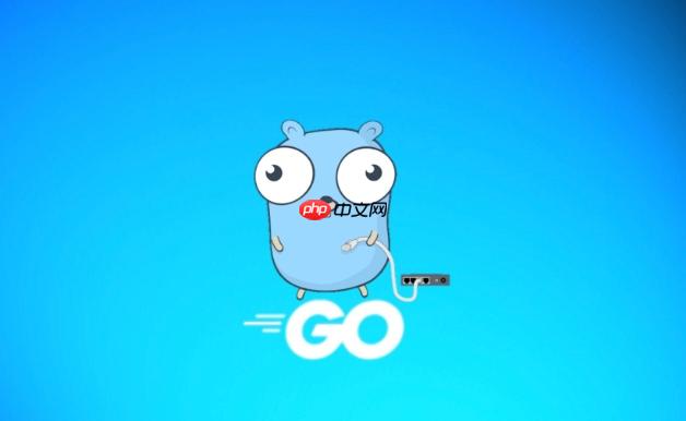 Golang模糊测试怎么实现 探索Golang模糊测试技术应用