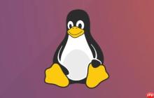 如何移除Linux软件包但保留配置 apt-get remove与purge区别