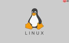 如何查看Linux系统进程状态 ps aux命令详解与输出解析