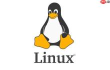 如何配置Linux网络接口PTP时钟 精密时间协议实现