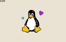 如何查看Linux网络接口信息 ifconfig与ip addr命令使用详解