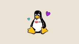 如何检测Linux网络接口丢包率 ethtool统计信息分析