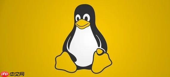 如何检查Linux网卡物理连接状态 ethtool查询链路信息详解