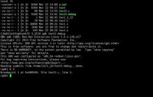 如何查看Linux文件系统类型 df与lsblk命令使用技巧